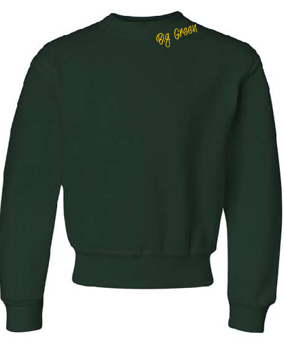 Outfit: Sweatshirt (Youth)